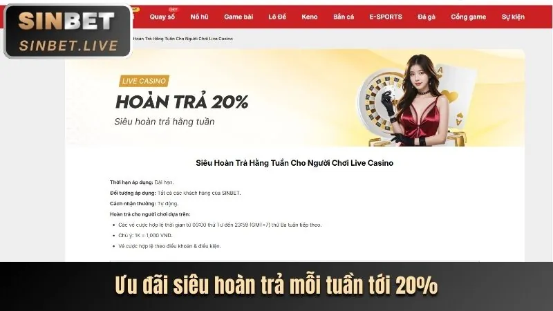 Giao diện quản lý tùy chọn cookie trên trình duyệt